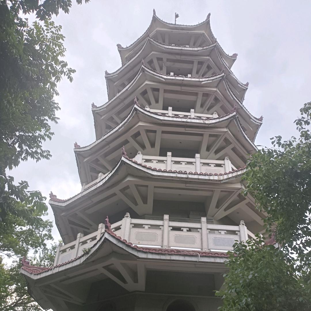 真心终被背叛