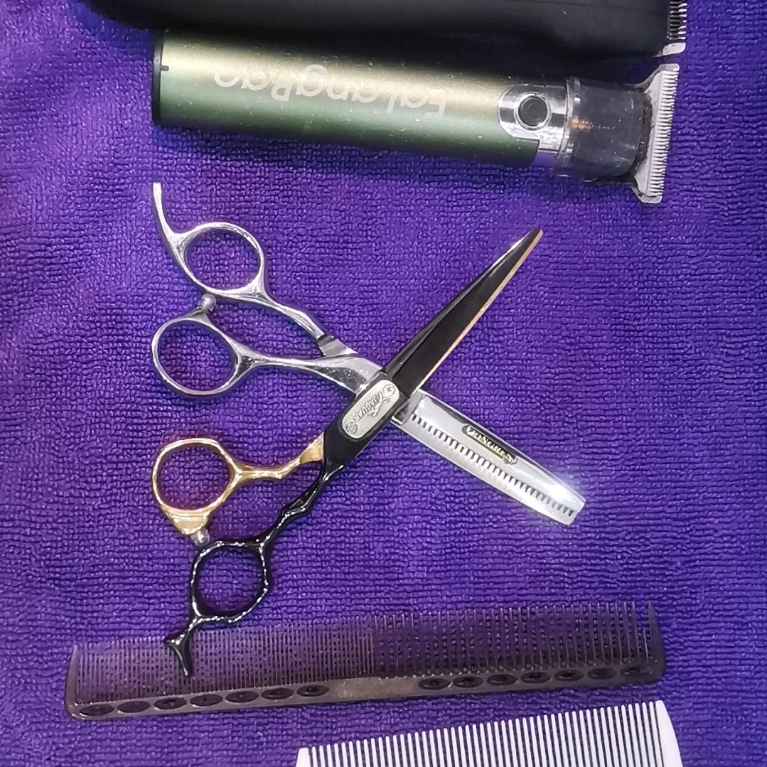 ꧁༺ 教   兽 ༻꧂