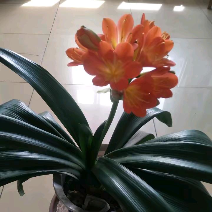 珍惜