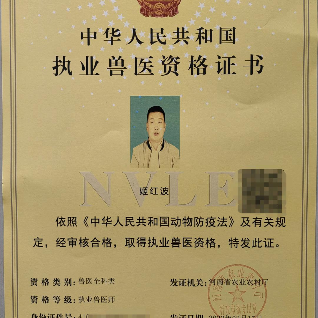 姬红波