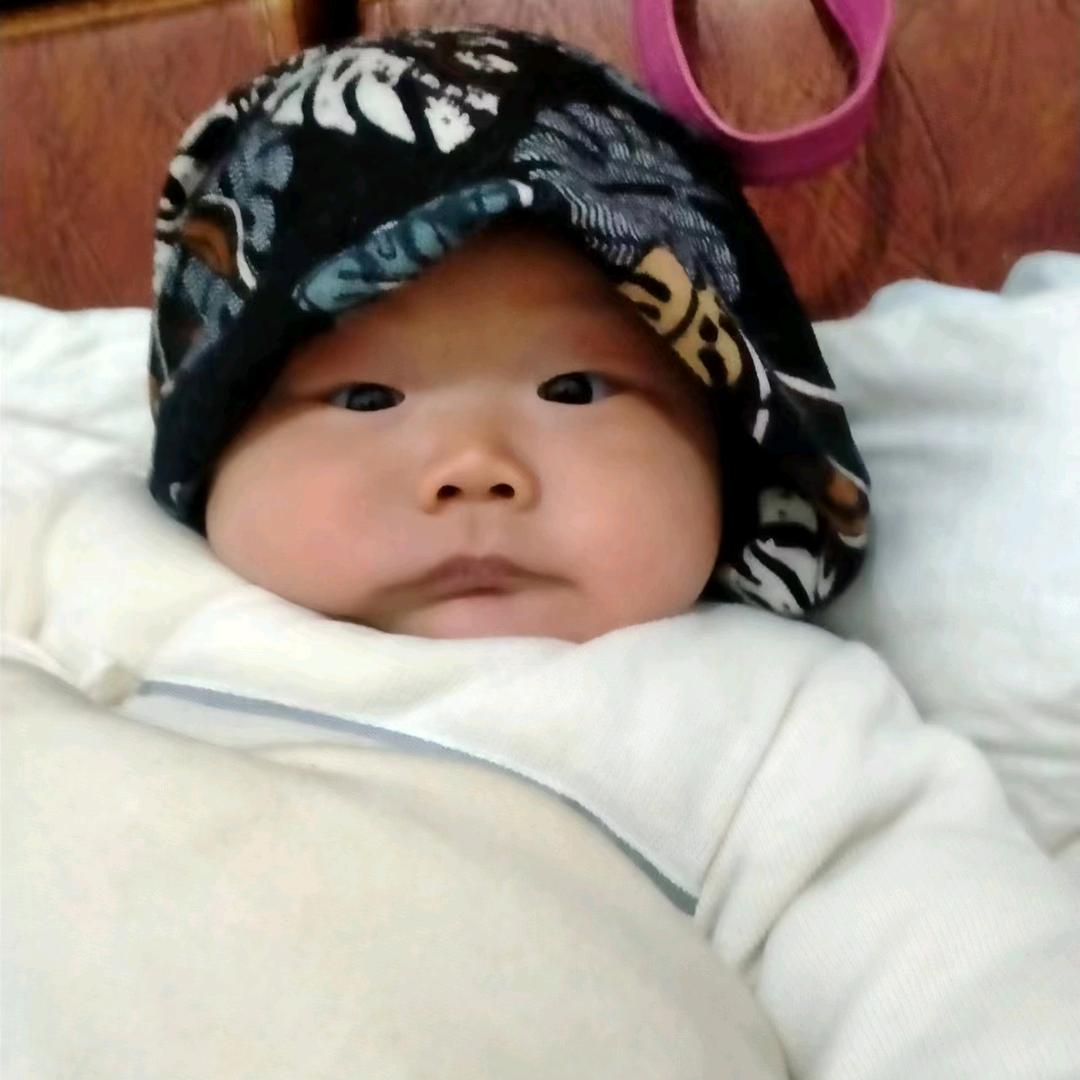 婷    岚     选       程