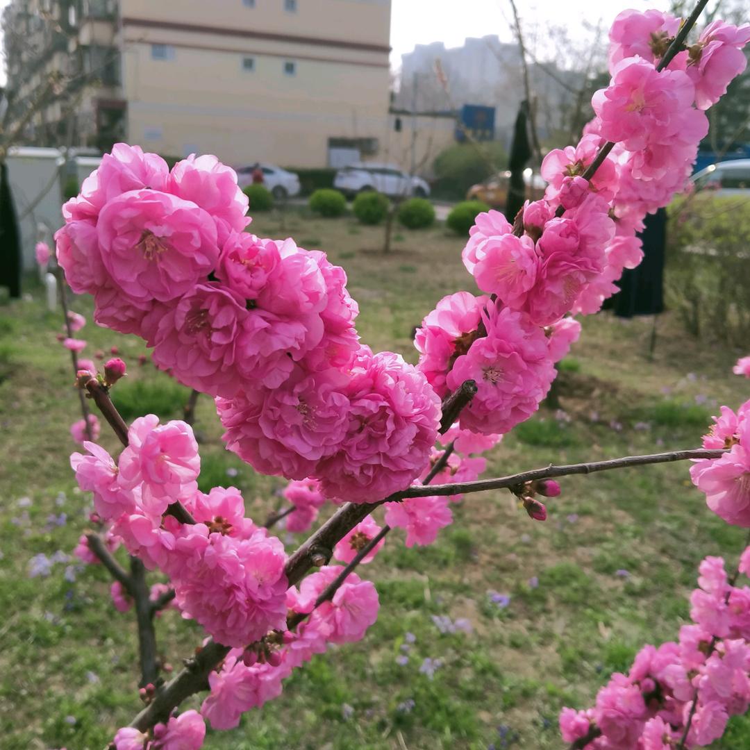 心净自然凉