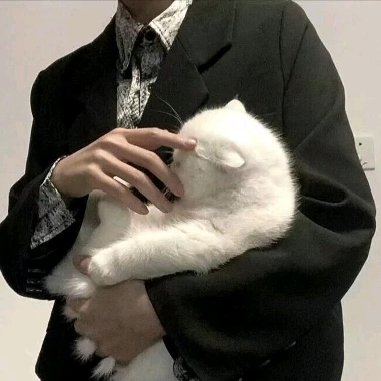 江晨
