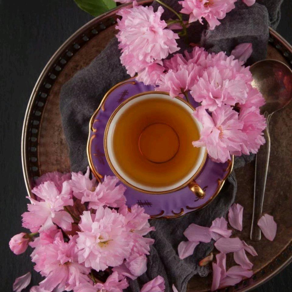 枝繁叶茂~叶