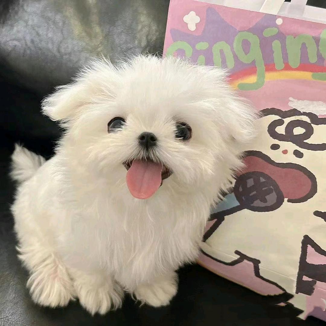 明天会更好？