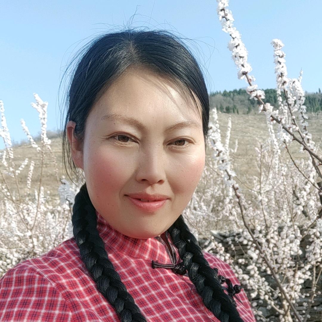 农村三轮姐
