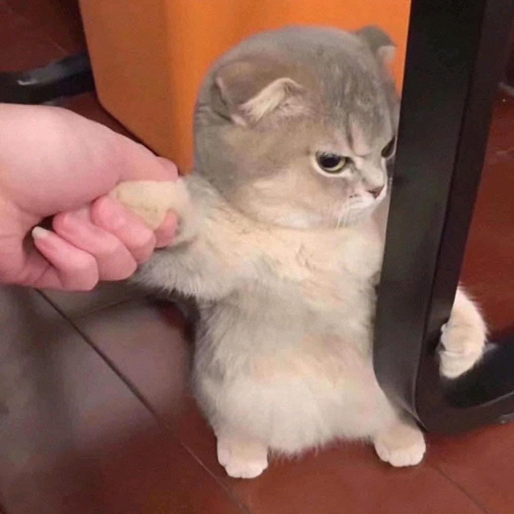 奇梦人