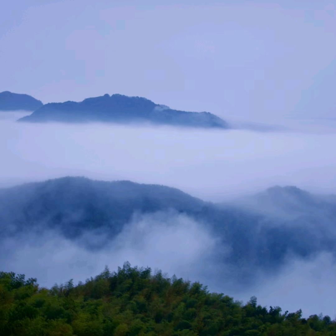 情已逝