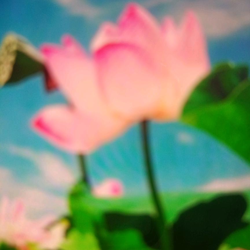 爱群