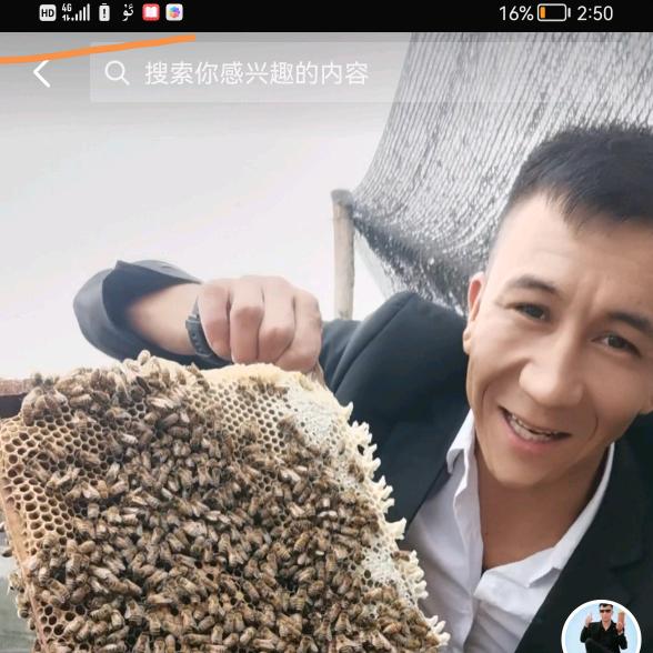 沙地曼