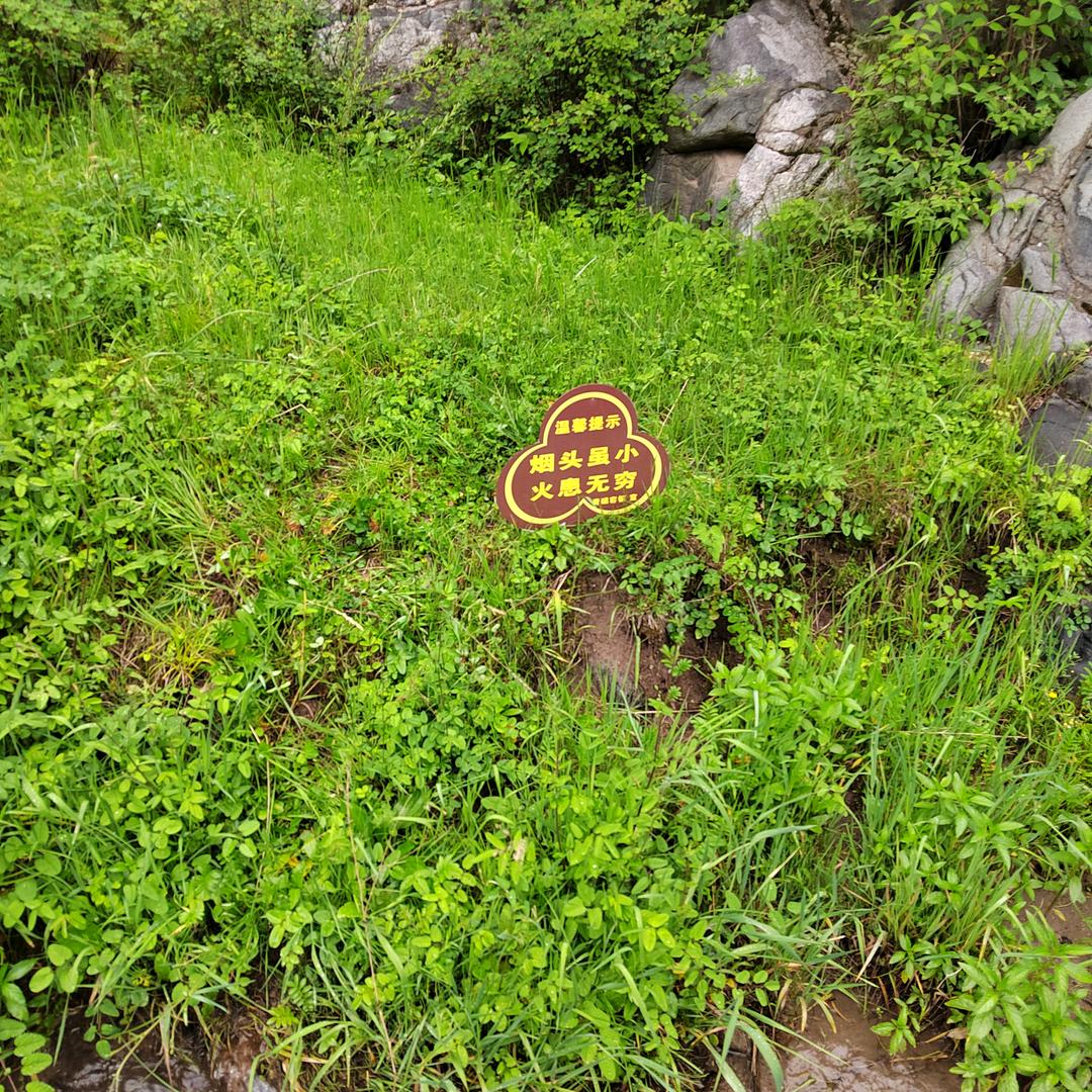 广告人