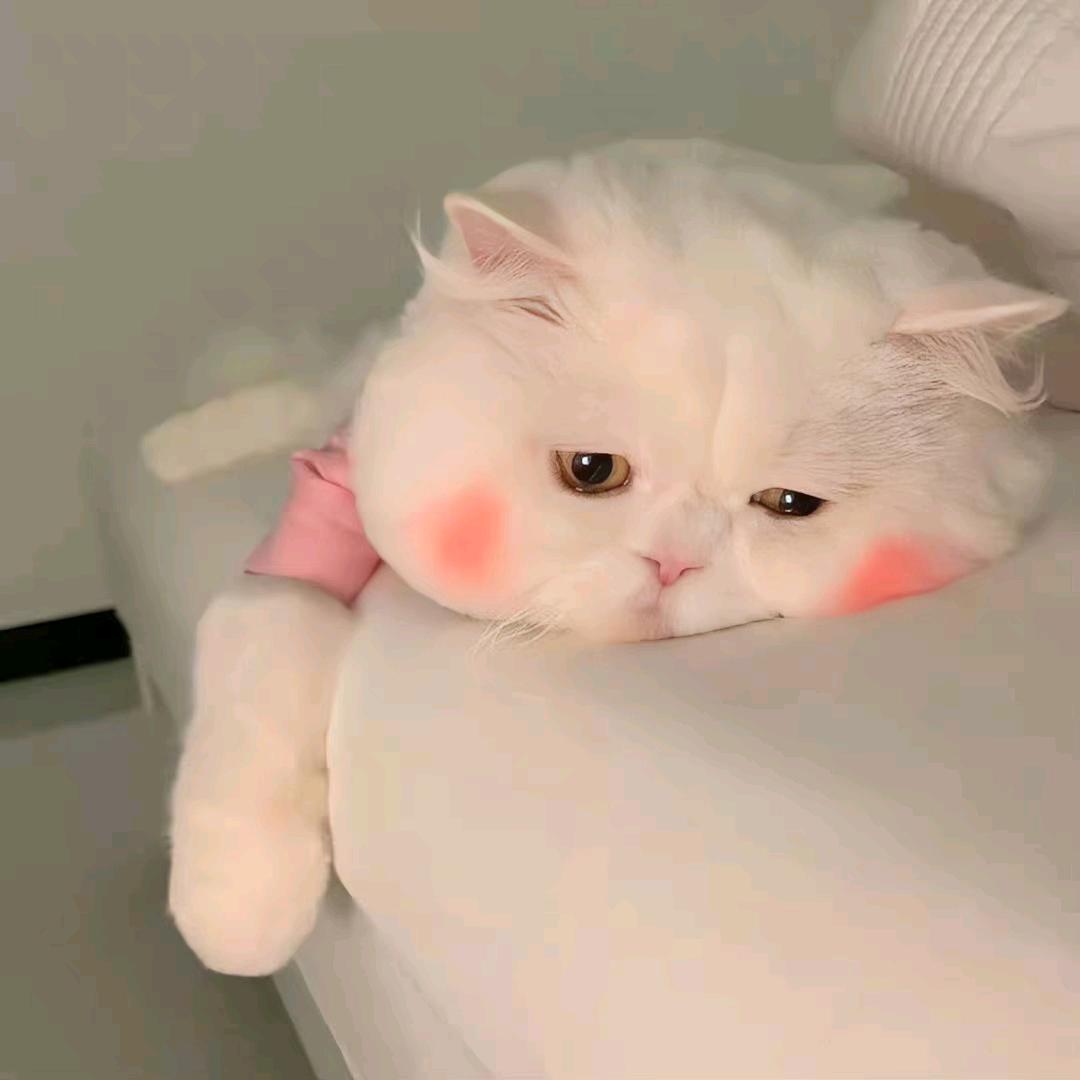 呦嗬！