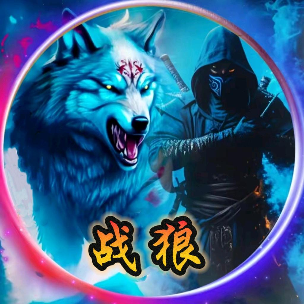 ⚡️战狼🐺