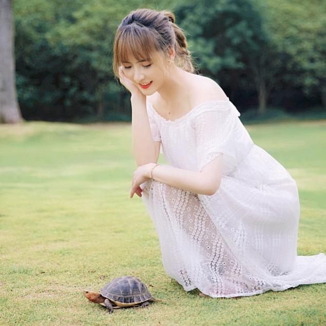 君哥的爱龟