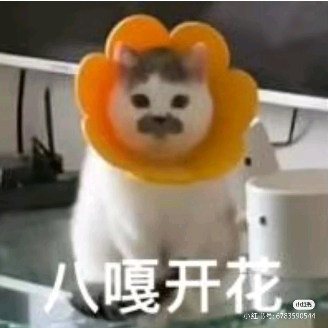 🌈溜了溜了🌈