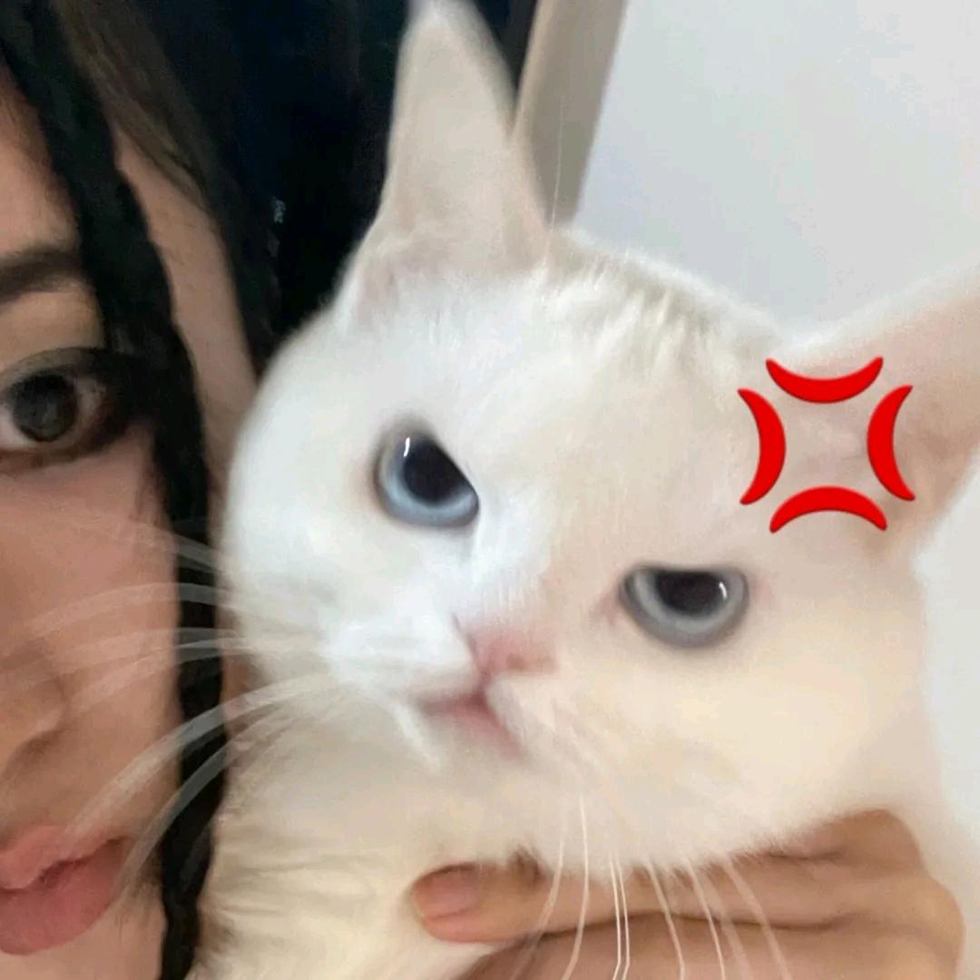 妍妍