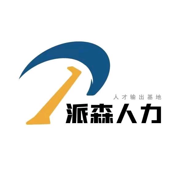 山东派森人力资源