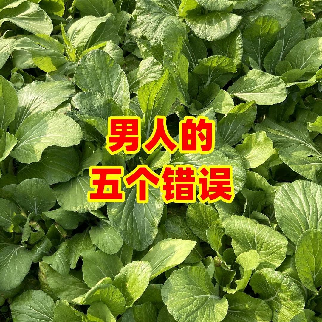 伤心的人，一个人带娃，一个人生活