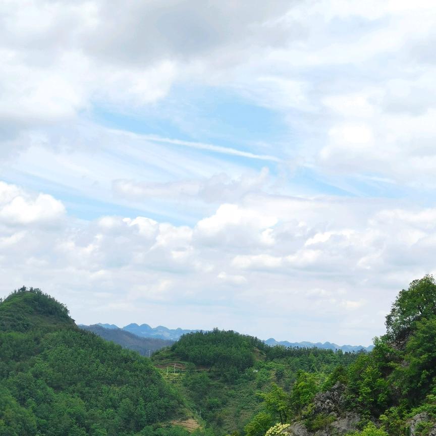 周七（下山蜜）