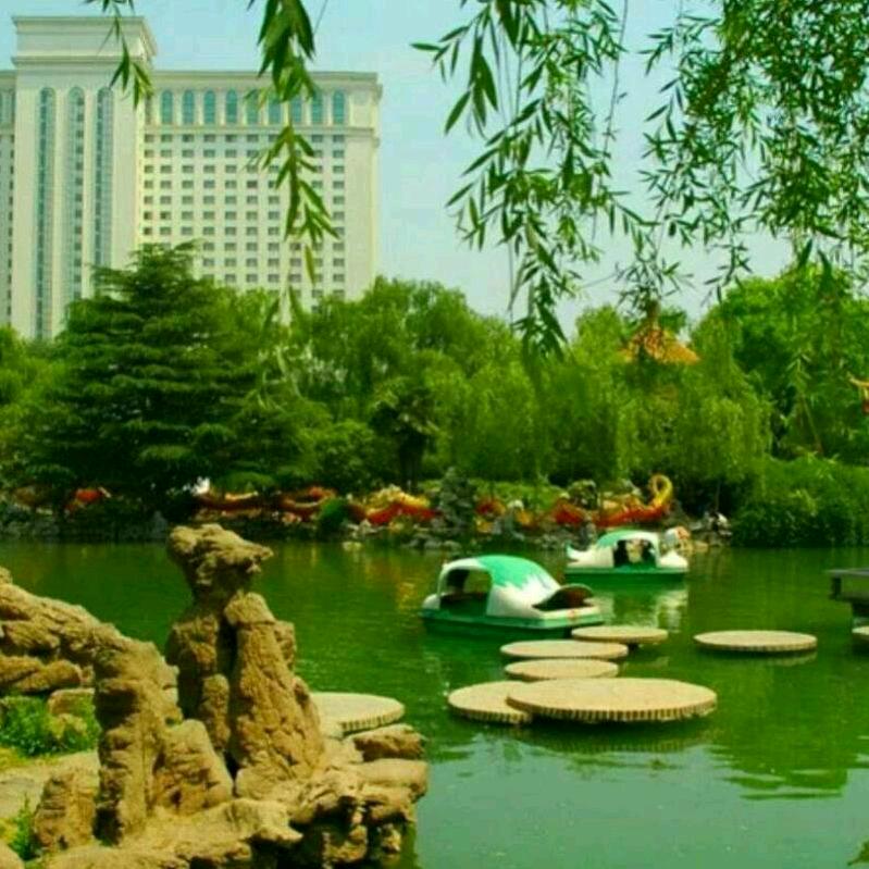 梦想成真，活出自我