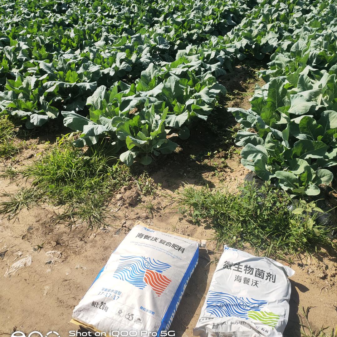 余生很长，何必慌张