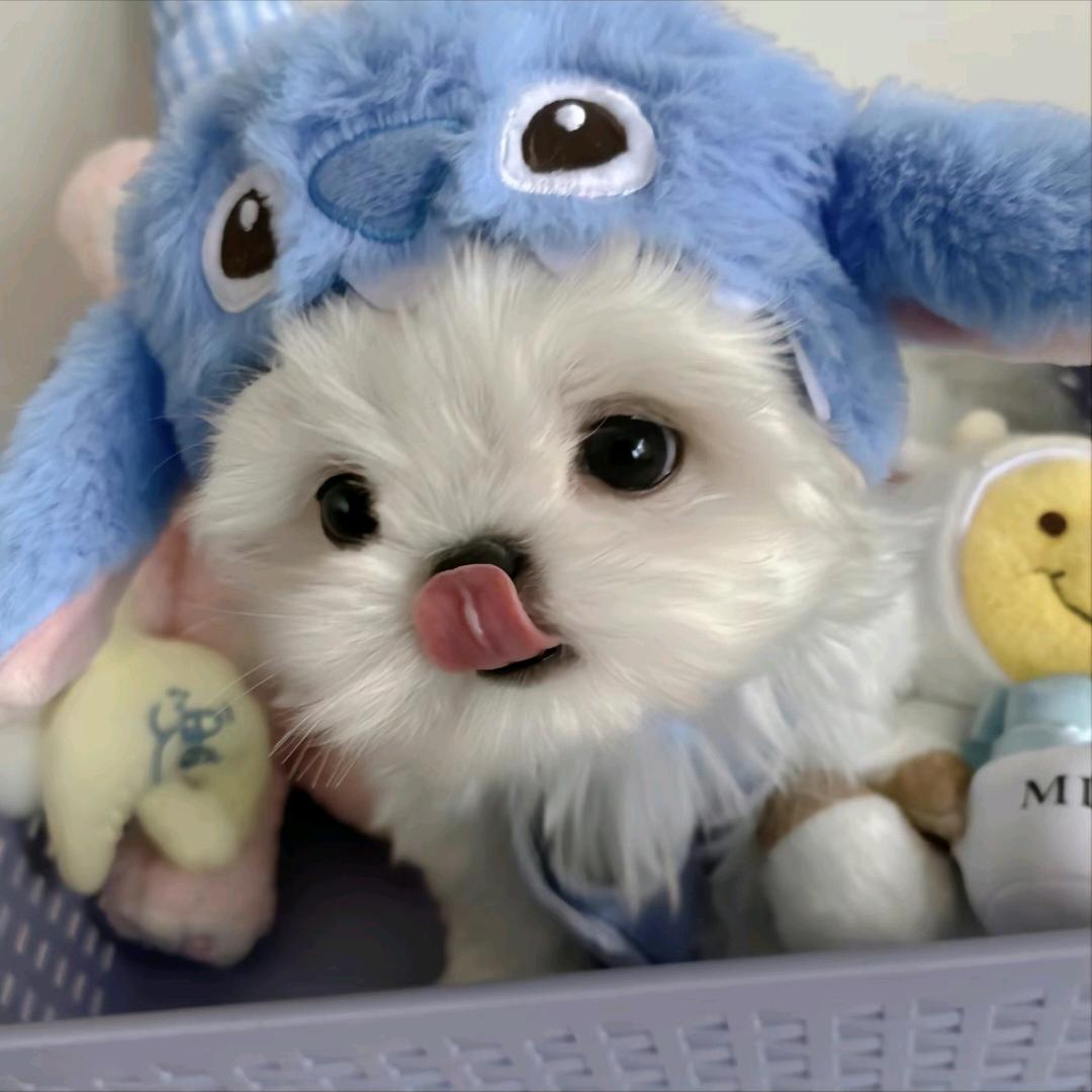 温温温软软