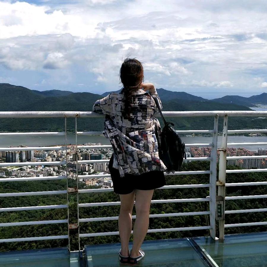 冬日飞燕