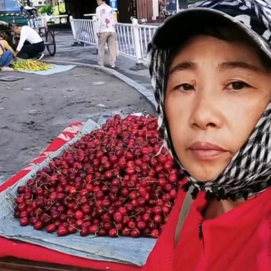 东北艳子