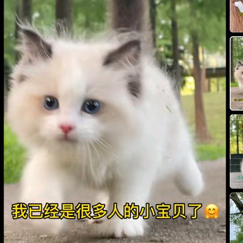 用户5117206875869
