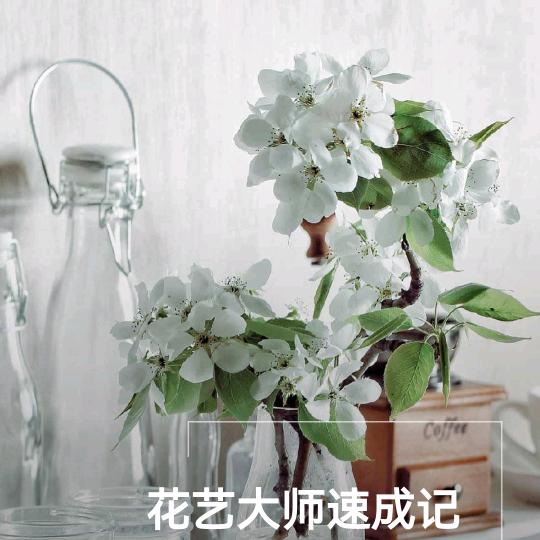 向光而行