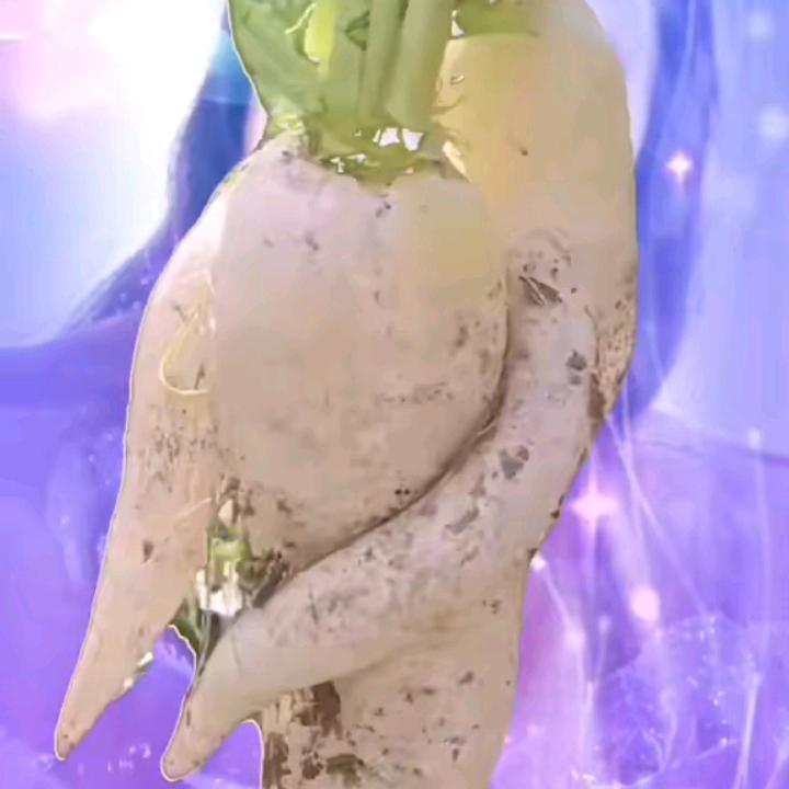 深爱老婆