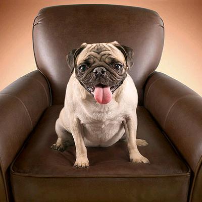 ——展开回复1314条♥