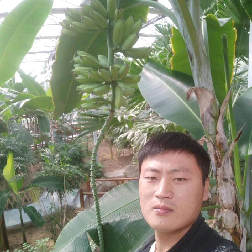 兰陵县鲜多多水果蔬菜批发部