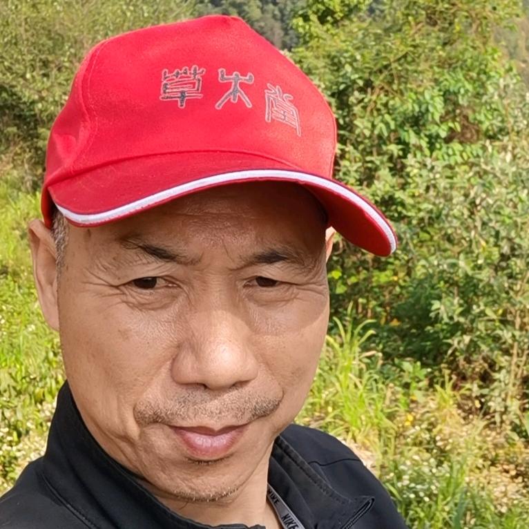 老骆寻茶