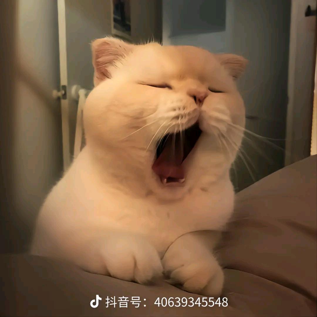 酒哦ᵖᵃˢˢⁱᵒⁿ