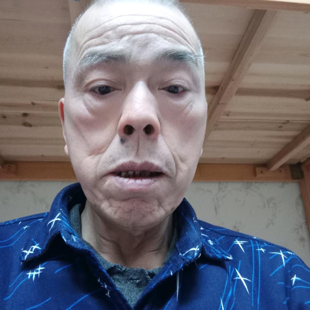 tree百年树木