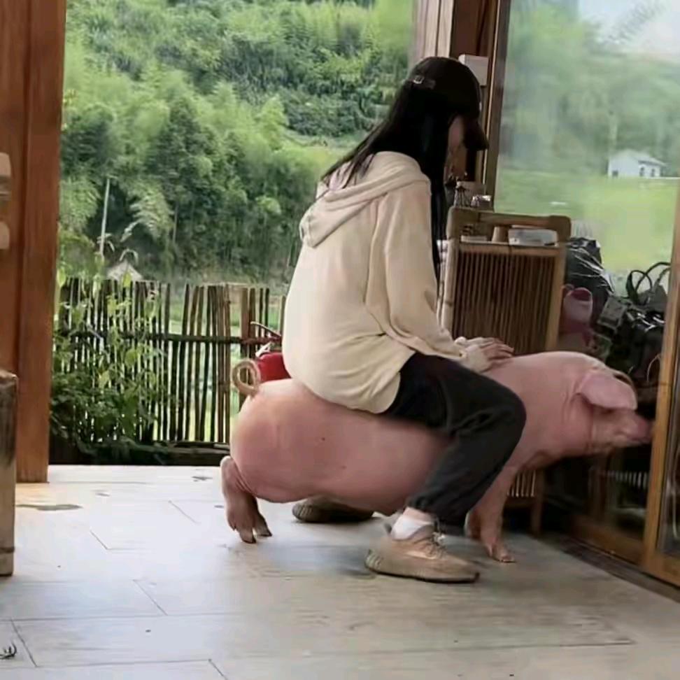 胆小无趣。