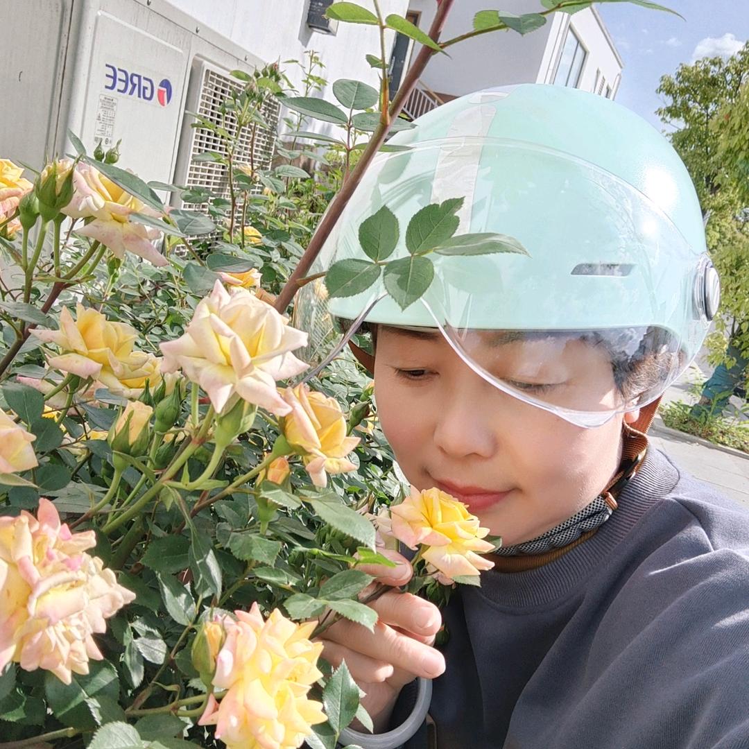 糖果1
