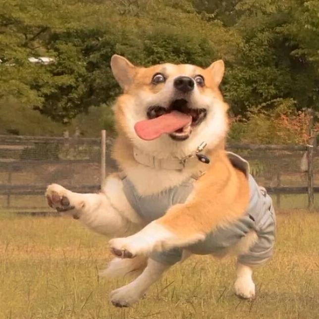 旭旭教游泳