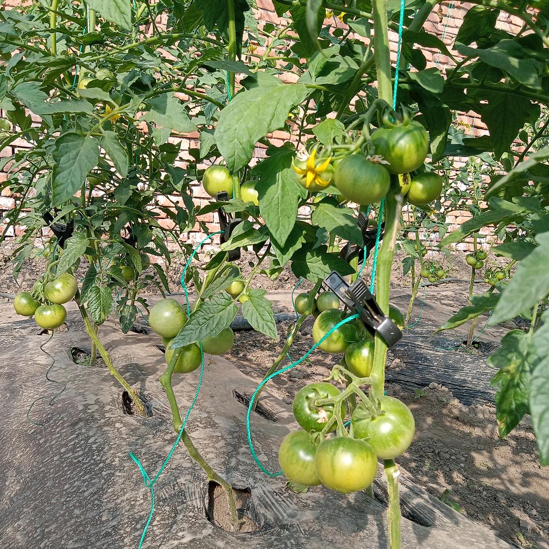 非常感谢帅哥美女们快乐每一天点赞吧