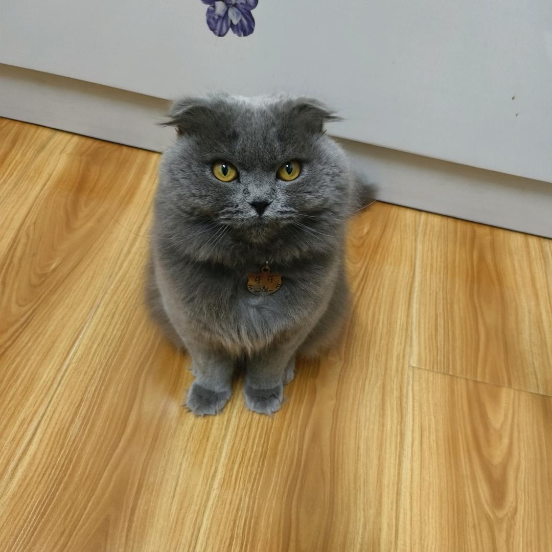 黑暗中的影子⊙ω⊙