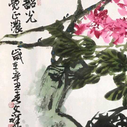 与鑫同行