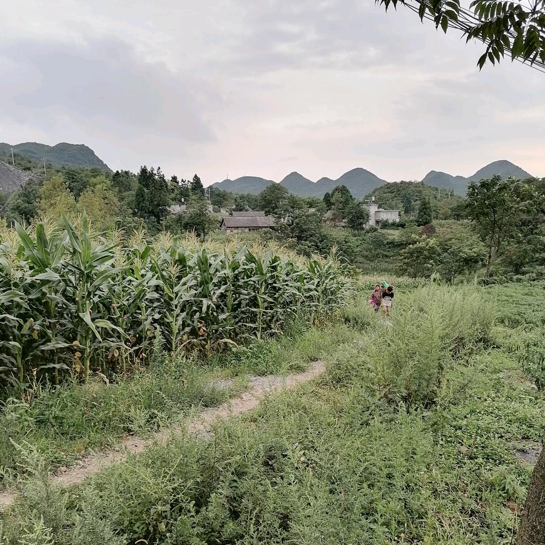 江油方水高包村