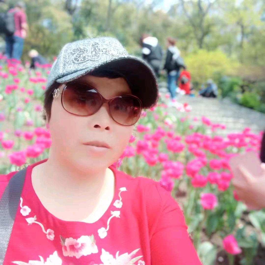 ((🌺清风暖阳🌺))