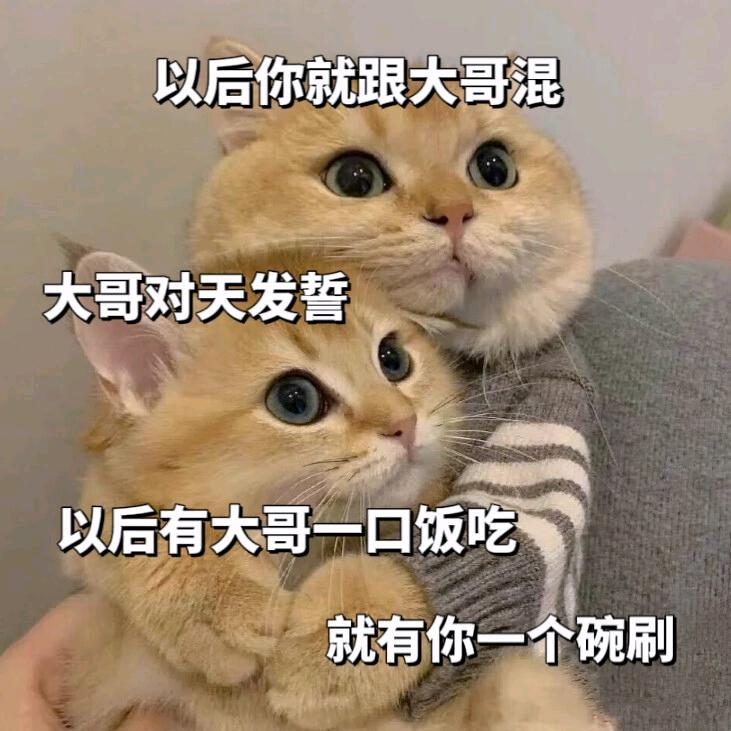 要早睡