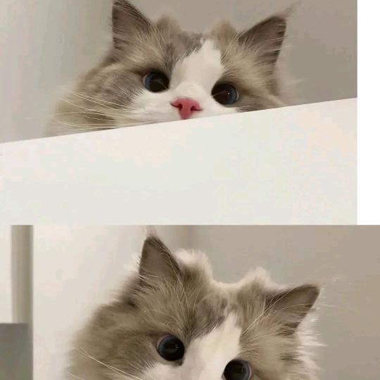 春分徐来  向阳而生