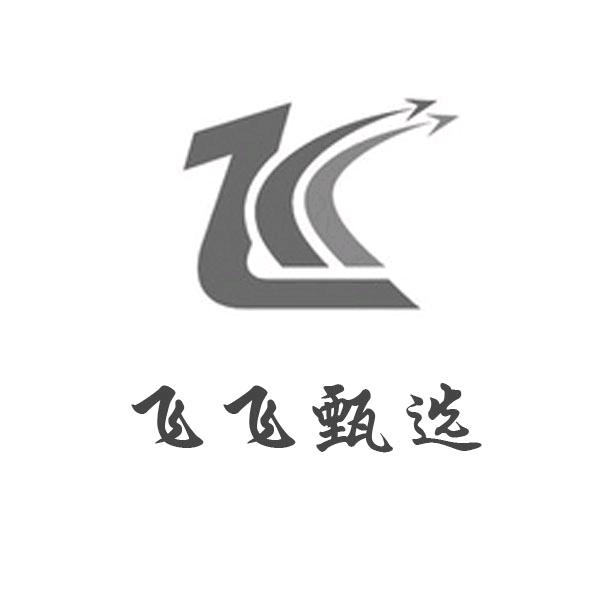 飞飞甄选最新款