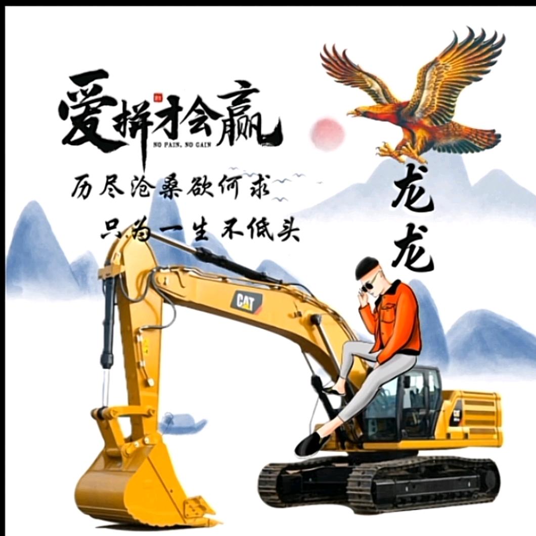努力拼搏的我
