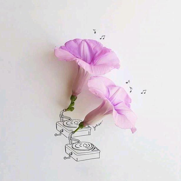 鸿淦(好物在橱窗)