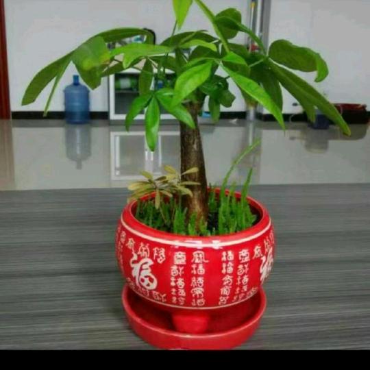 心静如海